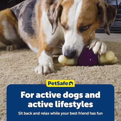 PetSafe Busy Buddy Bouncy Bone Treat Holding Dog Chew Toy, Small - Image 6