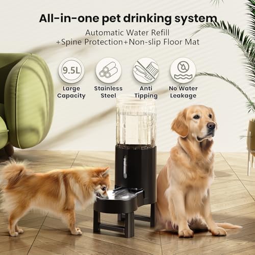CZPET Gravity Dog Water Bowl Dispenser, Wider Mouth (9.5L+Stand,Black) - Image 2