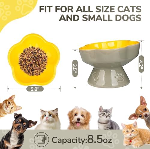 S&Q's CERAMICS Raised Cat Bowl, Elevated Cat Bowl for Food and Water, Ceramic Titled Dish, Anti Vomit & Whisker Friendly, Microwave and Dishwasher Safe (Yellow, 5.8") - Image 2