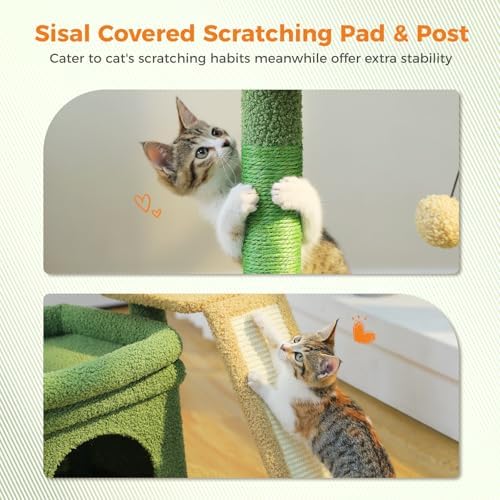 PEQULTI Small Cat Tree Tower for Indoor Cats with Large Perch, Green - Image 4