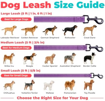 Best Pet Supplies Voyager Nylon Dog Leash - Purple, Medium - Image 6