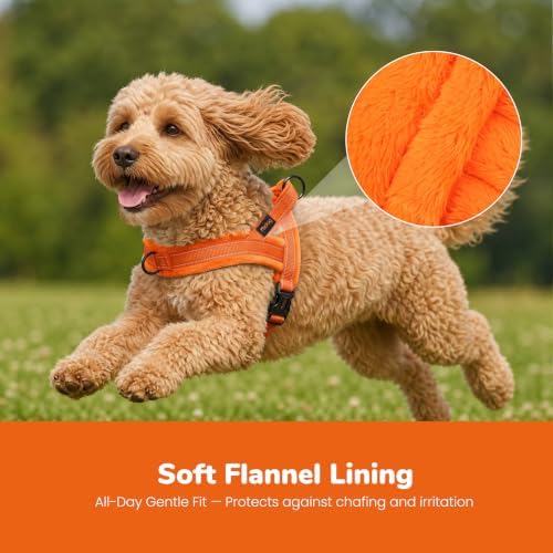 Didog No Pull Dog Harness for Small Dogs, Soft Flannel Padded, Orange, S - Image 2