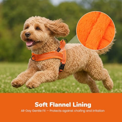 Didog No Pull Dog Harness for Small Dogs, Soft Flannel Padded, Orange, S - Image 2