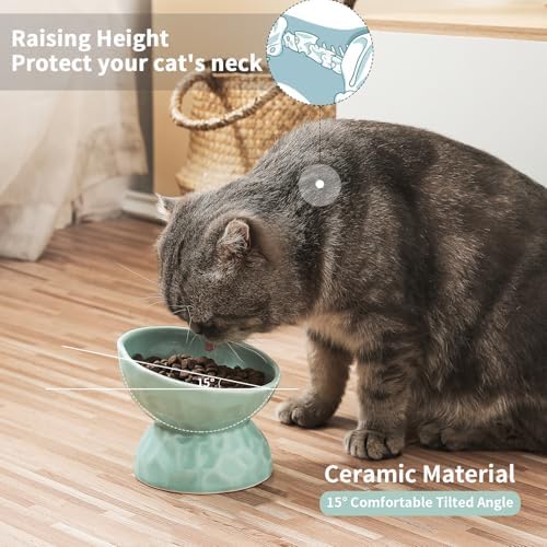Ceramic Tilted Raised Cat Bowls, Elevated Cat Food and Water Bowl Set - Image 4