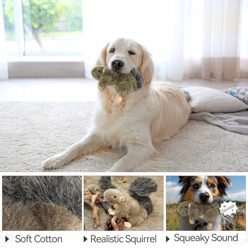 ALL FOR PAWS Interactive Dog Squirrel Plush Squeaky Toy - Perfect Puppy Enrichment Toy, Large - Image 7