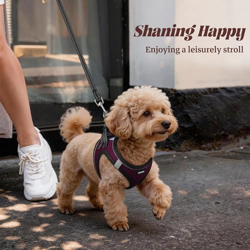 No Pull Dog Puppy Harness and Leash Set Reflective Mesh Vest Small - Image 6