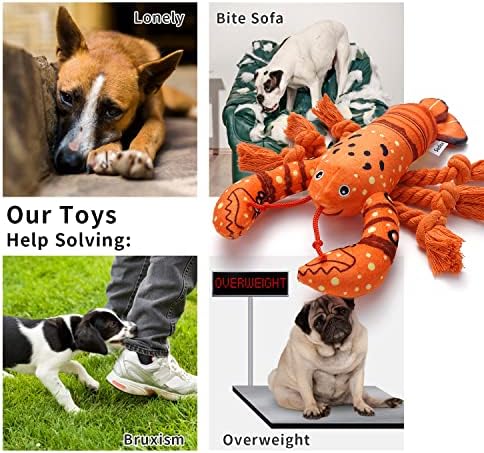Sedioso Dog Toys, Dog Plush Toy for Large Breed, Cute Squeaky Dogs Toy with Crinkle Paper, Puppy Chew Toy for Small, Middle, Large Breed (Lobster) - Image 3
