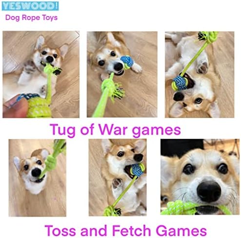 YESWOOD! Tug of War Dog Toy Small Breed,4-Pack Small Dog Rope Toy with Ball - Image 6