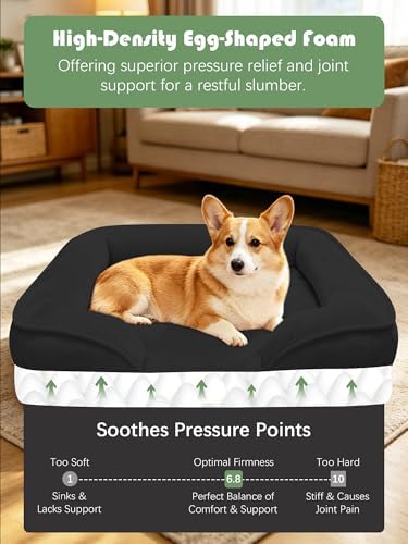 Spotted Play Orthopedic Dog Bed with Sides - Sofa Beds for Medium Dogs, Supportive Foam Pet Couch Bed with Washable Removable Cover, Waterproof Lining and Non-Slip Bottom, Black - M - Image 4