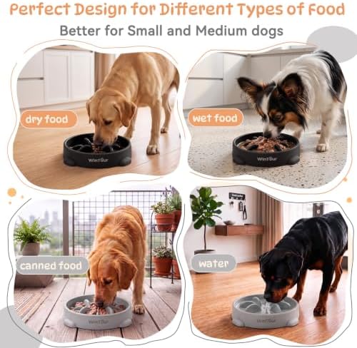 WinTour 2 Pack Slow Feeder Dog Bowls, BPA Free, Medium & Small Dog Bowls - Image 4