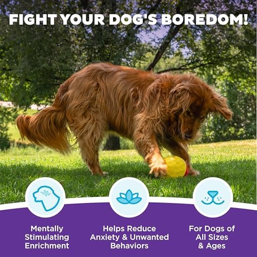 Outward Hound Nina Ottosson Treat Tumble Dog Toy Puzzle Ball, 5.8" - Image 3
