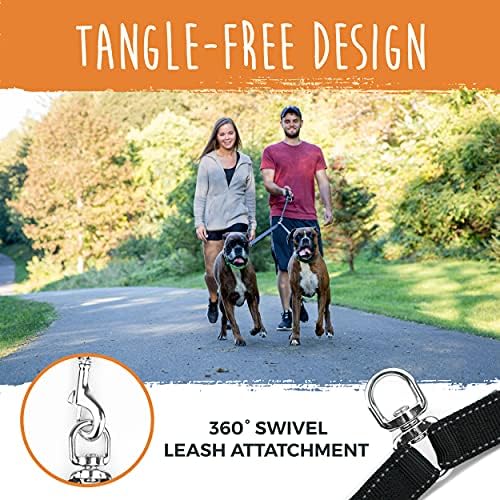Mighty Paw Double Dog Leash with Rope Handle - Double Leash for Two Dogs No Tangle Design. Split Lead for 2 Pets. Adjustable to Fit All Sized Breeds. Reflective Dual Pet Lead for People with 2 Pups - Image 5