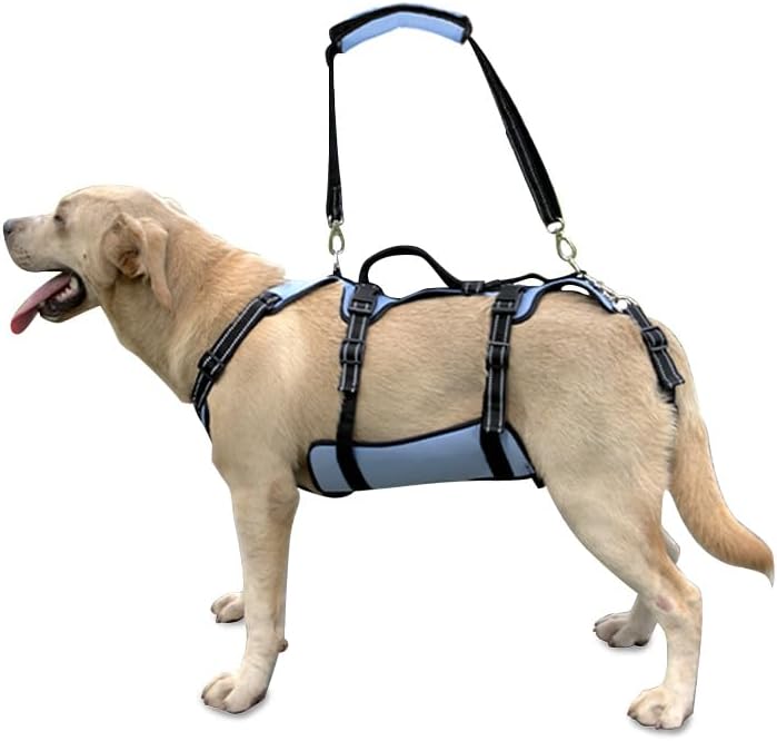 Coodeo Dog Lift Harness, Support & Recovery Sling, Pet Rehabilitation Lifts Vest Adjustable Breathable Straps for Old, Disabled, Joint Injuries, Arthritis, Paralysis Dogs Walk (Blue,M) by Coodeo