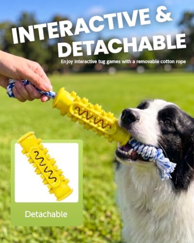 Dog Chew Toys for Medium Large Dogs, Yellow TPR Dental Toy with Rope - Image 4