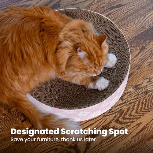 Catstages Scratch & Snuggle 2-in-1 Cat Scratcher & Lounger, Corrugated Cardboard Scratching Pad, Bowl-Shaped Design for Kittens & Indoor Cats up to 15 lbs, 16" - Image 5