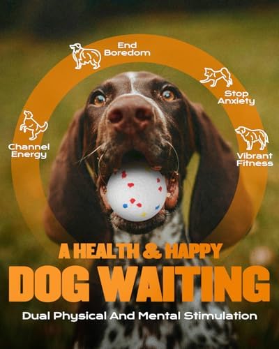 Automatic Ball Launcher for Dogs with 6 Balls, Dog Ball Thrower Launcher (Orange) - Image 5
