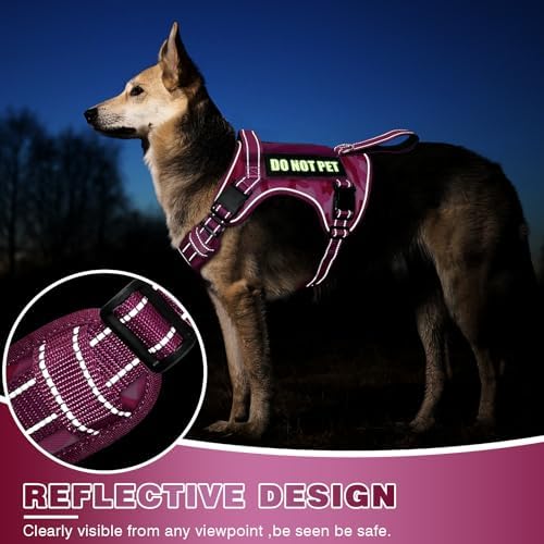 WINSEE Tactical Dog Harness, No Pull Dog Harness for Medium Large Dogs with Handle & Molle, Military Service Dog Vest Harness in Training Pet Harness for Small Dogs - Image 4