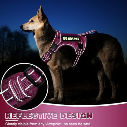 WINSEE Tactical Dog Harness, No Pull Dog Harness for Medium Large Dogs with Handle & Molle, Military Service Dog Vest Harness in Training Pet Harness for Small Dogs - Image 4