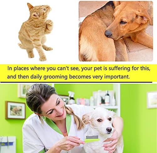 Cat & Dog Grooming Set - Fine Tooth Comb For Grooming And Removing Dandruff Flakes Remove Float Hair Tear Marks (green) - Image 2