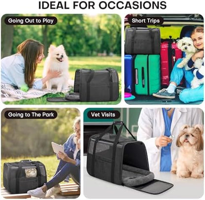 JUNGYOUN Premium ​Cat Carrier - ​Pet Carrier for Cat & Small Dogs up to 15lbs - ​Airline Approved Travel Dog Carrier with Anti-Escape Zippers, Collapsible Travel Bowl & Padded Strap - Image 2