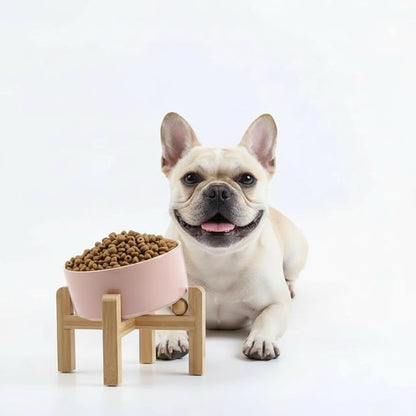 Petygooing Khaki Raised/Elevated 15°Slanted Ceramic Dog Bowl for Small Breeds,Tilted Anti Slip Pet Feeding Bowl,Food Water Dish with Stand for Cats and Small Dogs Puppy 13.5 OZ (5.1In / 1.7 Cups)