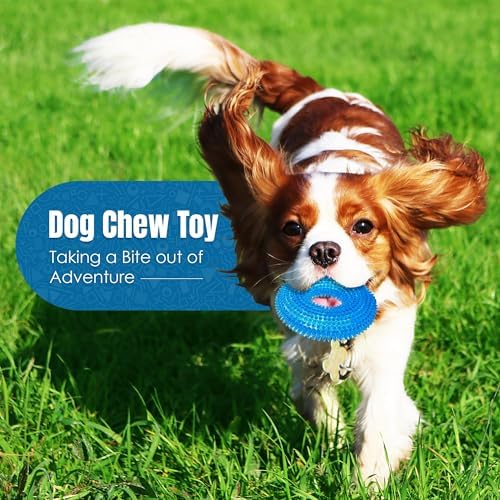 JOR Dog Oral Nub Squeaky Ring, Relief & Comfort for Teething Puppies, Floating Fetch Ring, Creates Slow Bowl for Fast Eaters, Round Rubber Ring Won’t Dent Floors, Puppy Essentials, Crystal Blue - Image 5