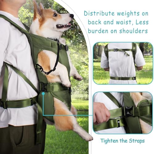 PetBonus Pet Front Dog Carrier Backpacks, Adjustable Pet Backpack, Legs Out Easy-fit Puppy Chest Carrier for Medium Small Dogs, Hands Free for Hiking, Cycling (Army Green, S) - Image 3