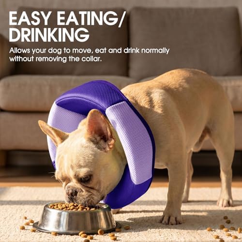 Dog Cone Soft Cone for Dogs to Stop Licking - Image 5