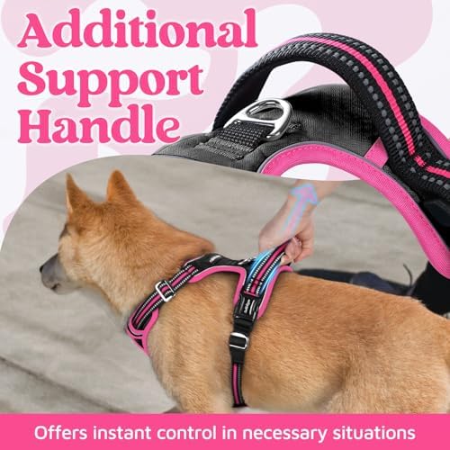 rabbitgoo Dog Harness Small Sized, No Pull 3 Buckles Easy On & Off - Image 4