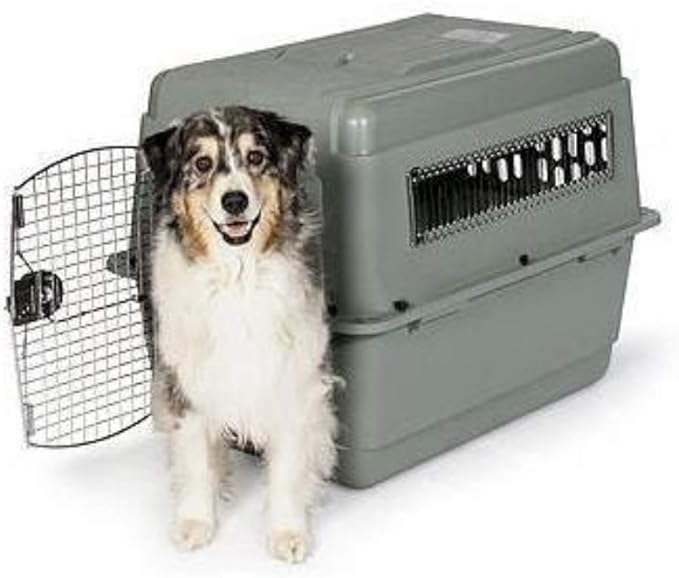 Petmate Sky Kennel Pet Carrier (32 Inch) and Petmate 290300 Kennel Travel Kit