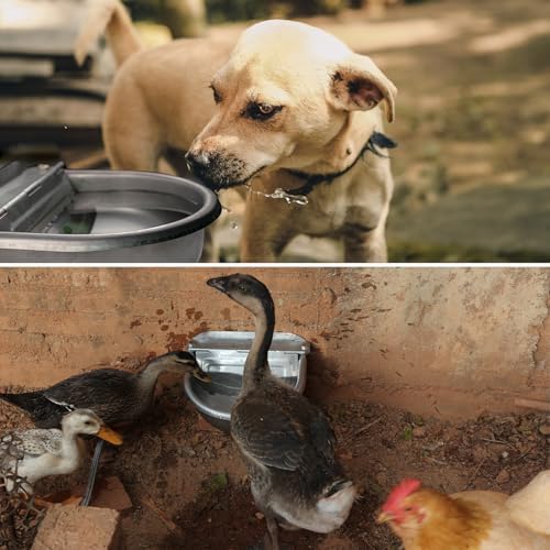 Automatic Dog Water Bowl Dispenser Large Size Pet Waterer Feeder Stainless-Steel Water Trough for Poultry and Small Livestock - Image 2