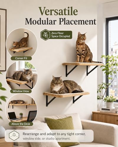 2PCS Cat Wall Shelves with Scratching Mat, 16.6x9.7 Inch Solid Pine Wood Wall Mounted Kitten Floating Shelf, Window Perch Hammock, Cats Wall Furniture for Cats Sleeping, Playing, Climbing - Image 5