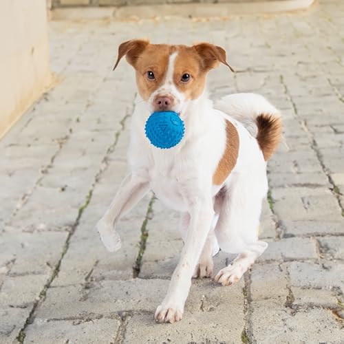 Best Pet Supplies Squeaky Dog Toys with Soft Durable Fabric for Small, Medium and Large Pets Interactive Toy for Indoor Play, Supports Active Biting and Play - Blue, Large - Image 6