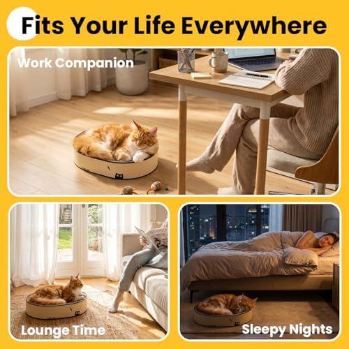 Conlun Oval Cat Scratcher Bed | Scratching Bowl Lounge for Kittens | Medium - Image 5