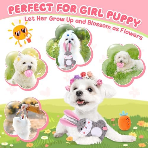 Zeaxuie Pink Puppy Toys for Teething - 9 Pack Small Dog Set With Chew, Squeaky Crinkle, Treat Ball and Interactive Rope for Puppies - Image 2