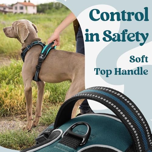 rabbitgoo Dog Harness Medium Sized, Updated Easy On & Off with 3 Buckles - Image 5