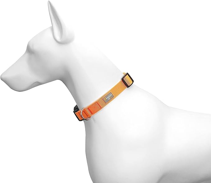 Dog Collar Orange Basic Adjustable Dog Collars with Breathable Quick Release Nylon Pet Collar for Puppy Small Medium Large Dogs Boy