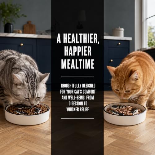Shallow Ceramic Cat Slow Feeder Bowls, Anti-Vomit Food Plates for Whisker Fatigue Relief, Dishwasher Safe, Anti-Acne, Black Chin Prevention,Cat Slow Feeder Bowls for Dry and Wet Food, Easy Daily Use - Image 3