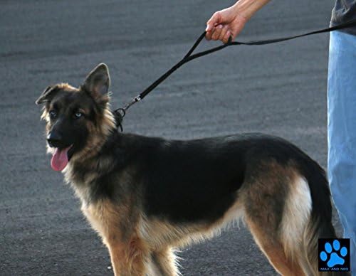 Max and Neo Double Handle Traffic Dog Leash - Reflective, Donates to Dog Rescue (Pink, 6 FT) - Image 4