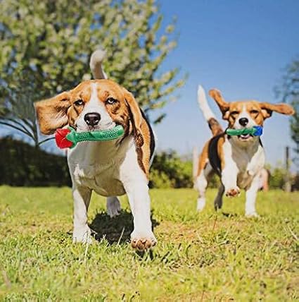 Blingbrione Dog Chew Toys for Large Breed Aggressive Chewers, Durable Red Flower Rose Dog's Toys Rubber Teething for Small/Medium Puppy, Tough Toys for Training,Interactive Doggy Valentine's Day Gift