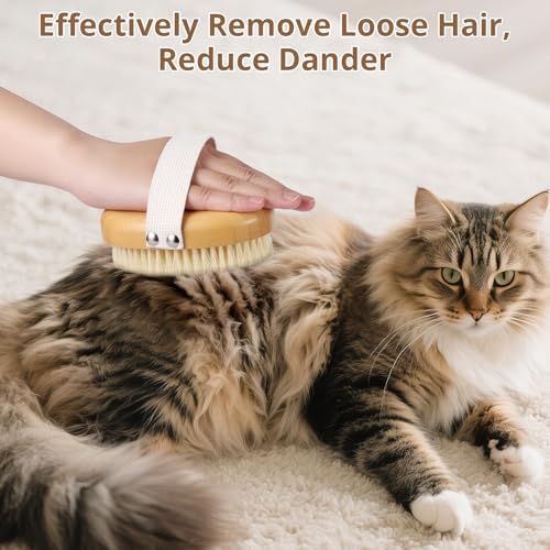 Boar Bristle Cat Brush for Indoor Cats, Cat Hair Brush Gentle Grooming, Reduce Shedding, Soft Hair and Healthy Shine, Bamboo Handheld with Soft Boar Bristles and Band for Short Haired Cats Dogs - Image 4