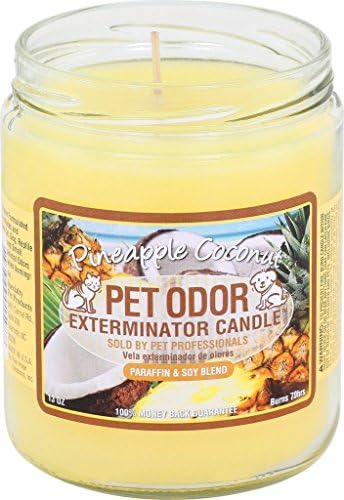 Pet Odor Exterminator Candle, Pineapple & Coconut - Pack of 2 by SPECIALTY+PET+PRODUCTS