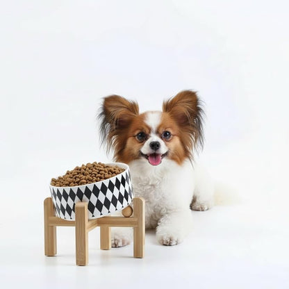 Petygooing Raised/Elevated 15°Slanted Ceramic Dog Bowl for Small Breeds,Tilted Anti Slip Pet Bowl,Food Water Dish with Stand for Cats and Small Dogs Puppy 13.5 OZ (5.1In / 1.7 Cups) Black Rhombus