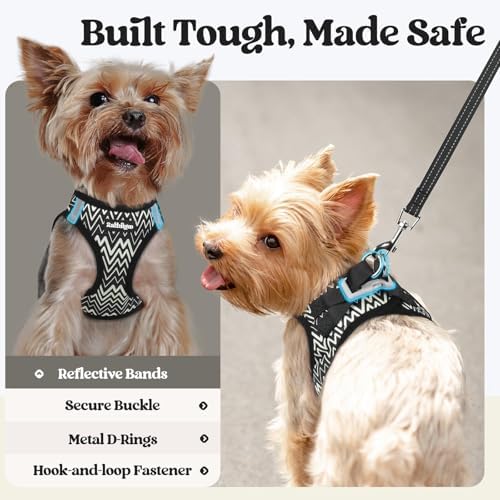 rabbitgoo Dog Harness Small Sized and Leash Set, Step-in Puppy Pet Vest - Image 5