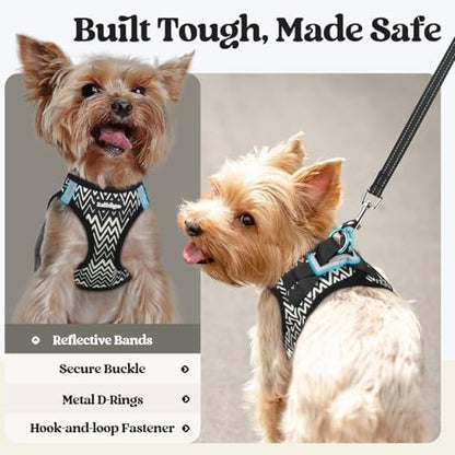 rabbitgoo Dog Harness Small Sized and Leash Set, Step-in Puppy Pet Vest - Image 5