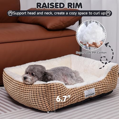 Dog Beds for Small Medium Dogs Washable, Calming Dog Bed Small Size Dog, Orthopedic Dog Bed, Warming Soft Calming Sleeping Puppy Bed Durable Pet Bed with Anti-Slip Bottom (25 inch, Coffee) - Image 2