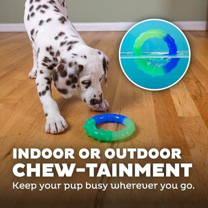 Grow-With-Me Ring Dental Dog Chew Toy, Bounces & Floats, 4.7" - Image 6