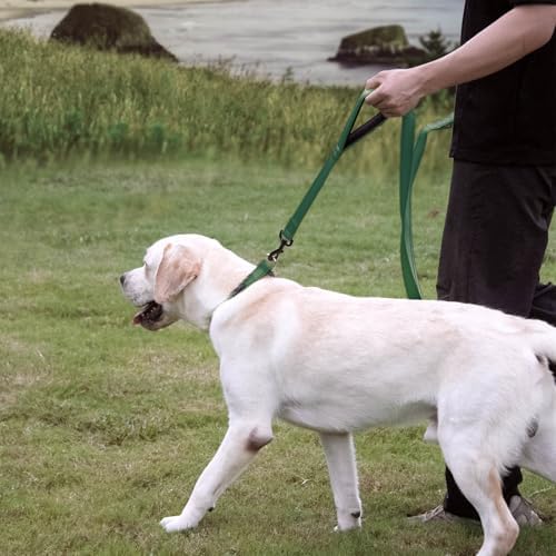 Wagtime Club Heavy Duty Double Handle Dog Leash for Large Medium Small Dogs - Image 6