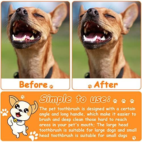 Honeydak 70 Pcs Dog Tooth Brush Dual Headed Pet Toothbrush, Colorful - Image 6