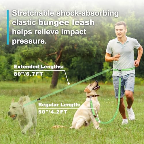 Laqibak Hands Free Dog Leash,Adjustable Waist Leash for Dog,4.2-6.7 Feet - Image 3